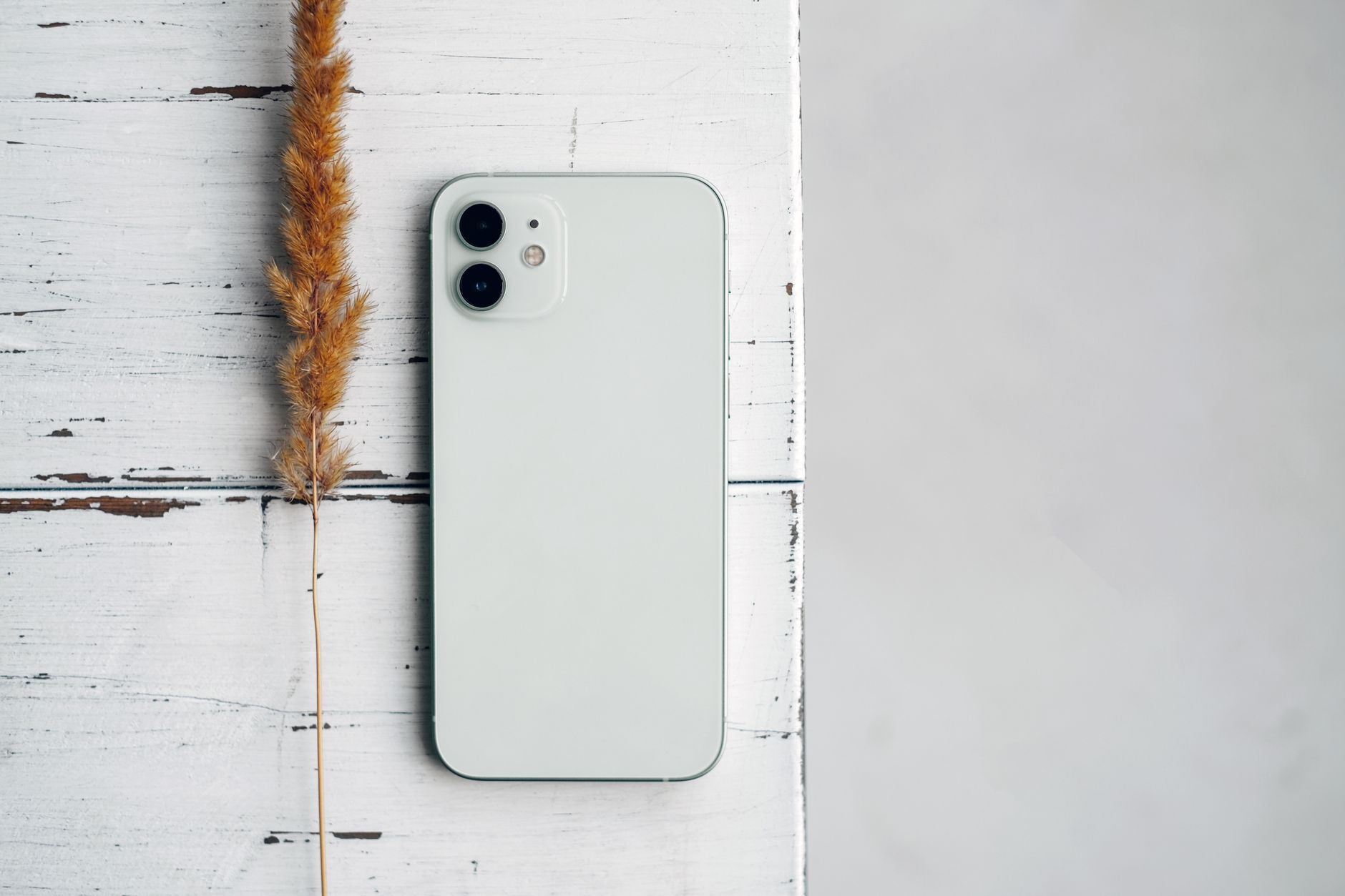 白く塗られた木の板の上に、ミントグリーンのスマートフォンの背面と枯れ草の穂が並べて置かれている