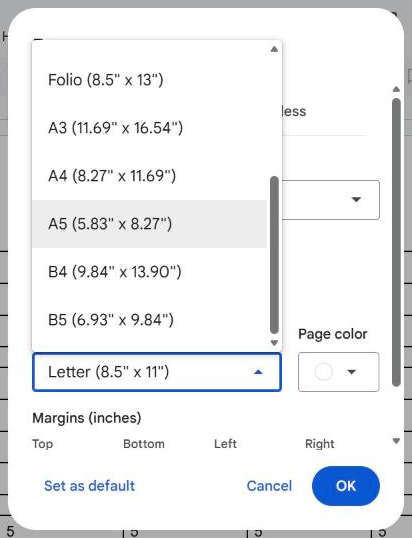 Google Docs Page setup with the paper size list open and A5 highlighted